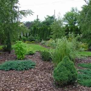 janowek 01 lato 2012 03