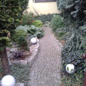 przedogrodek 2016 02